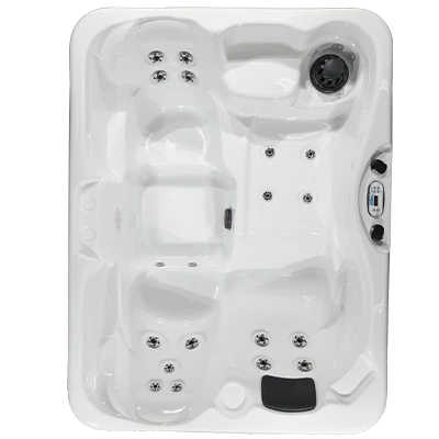 Kona PZ-519L hot tubs for sale in Tigard